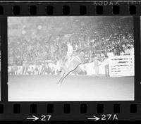 Brandon McReynolds on Shamrock