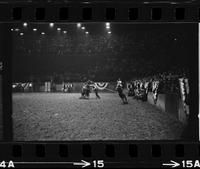 A.J. Zieter Calf roping