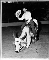 Jack Andrews on bull, bull manager of arena in Providence R.I.