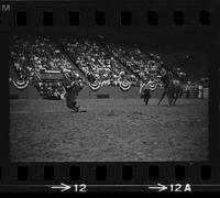 Leonard Hampton Calf roping, 12.9 Sec