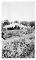 July 1928 Another view of Chuck Tent, Sleeping Tent, Boys' teepees. Lodge Grass