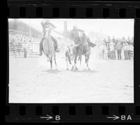 Jim Poteet Steer wrestling