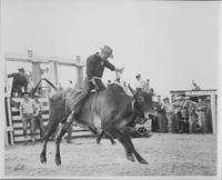 J.E. Ranch Rodeo Waverly, N.Y.