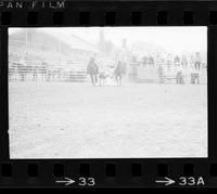 Larry Davis Steer wrestling, 6.4 Sec