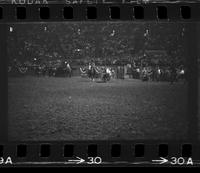 Mack Nesmith Steer wrestling