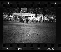 Leon McCoy Steer wrestling, 4.5 Sec