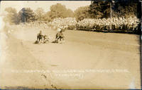 Mike Hastings Bulldogging Springfield Rodeo