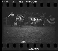 [Unknown Steer wrestler]