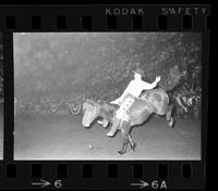[Unknown Bareback rider]