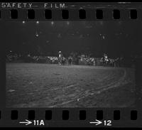 Ted Smalley Steer wrestling