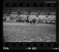 Dub Sams Steer wrestling