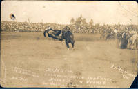 Tex McLeod champion trick and fancy roper of the world in bucking contest for championship