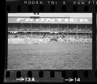 Jim Bob Altizer Steer roping, 21.5 Sec, Totals for 3 = 68.7 Sec