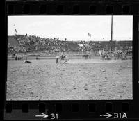 Ken Frazier Calf roping