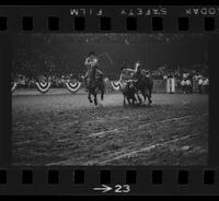 [Unknown Steer wrestler]