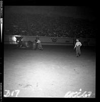 Gene Clark Bull fighting with Bull #42