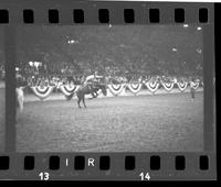 [Unknown Bareback rider]