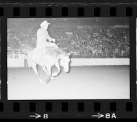 Joe Burbach on Horse #9