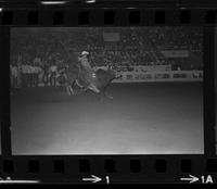 Randy Magers on Bull #012