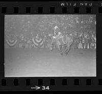 [Unknown Saddle bronc ridier]