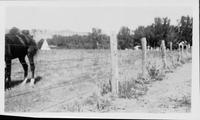 [Barbed wire fence, horse and distant teepee]