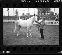 [Unknown horse show]