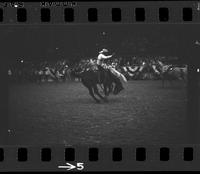 [Unknown Bareback rider]
