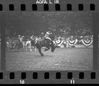 [Unknown Bareback rider]