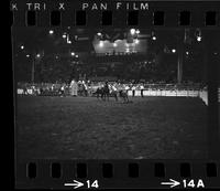 Bobby Goodspeed Calf roping, 12.8 sec