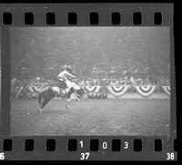 [Unknown Saddle bronc rider]