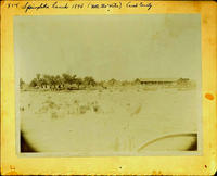 X I T Springlake Ranch 1894 (note the water) Lamb County