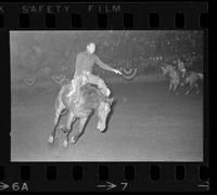 [Unknown Bareback rider]