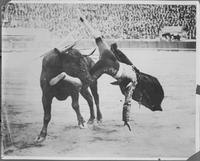 Jaurez, Mexico 1920's [Bullfighting]