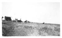 July 1928 Rodeo Grandstand Lodge Grass One of Boys on Bronc