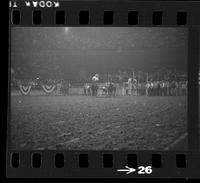 [Unknown Steer wrestler]