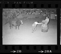 Tom LeGrande rodeo clown bull fighting