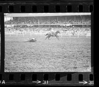 Waldo Haythorn Steer roping, 21.3 Sec