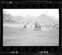 John Suttle Calf roping, 12.9 Sec