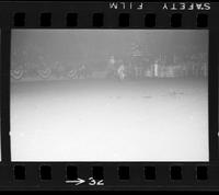 [Unknown Steer wrestler]