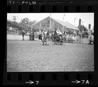 Harold Frizzell Calf roping, 12.21 Sec