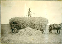 [Cowboy atop haywagon, another forking the hay up to wagon]