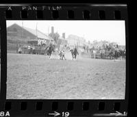 Don Brannon Steer wrestling