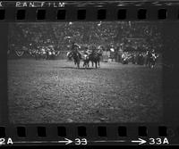 Duane Martin Steer wrestling