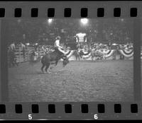 [Unknown Bareback rider]