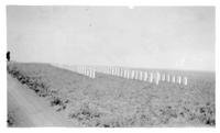 July 5, 1928 Where Bodies of those who fell in battle of were buried. Custer Battlefield