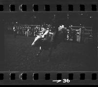 [Unknown Bull rider]