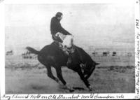 Guy Edward Holt on Old Steamboat, World Champion Ride, Cheyenne, Wyo. 1903