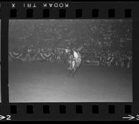 [Unknown Bareback rider]