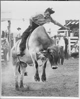J. E. Ranch Rodeo, Waverly N.Y.