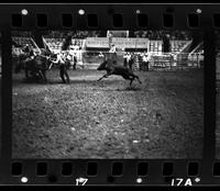 Jimmy Holt Calf roping